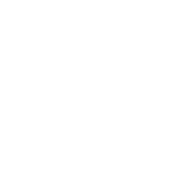 Logo for Unlocking Data in dark mode